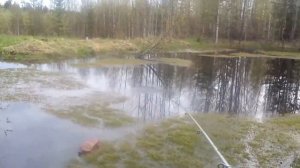 Рыбалка на болоте