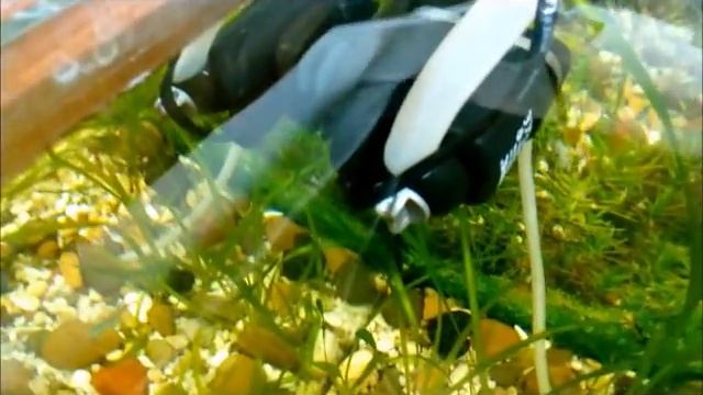 Обзор аквариума 120 литров + фитофильтр (участник конкурса) смотреть онлайн