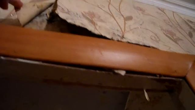 Дождик с потолка=))))) смотреть онлайн