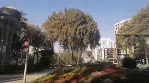 Душанбе / Аэропорт / Душанбинский шелко комбинат