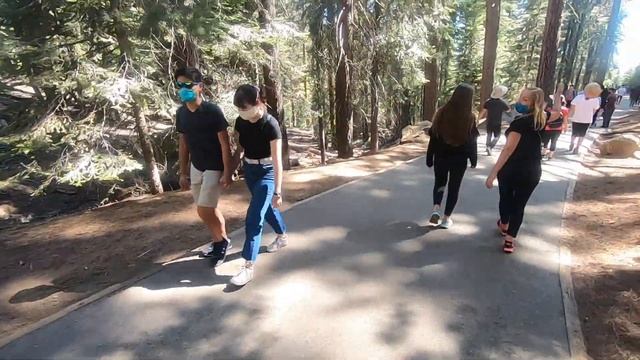 Путешествие по США на машине: Национальный парк Секвойя // Влог из США - Да, Америка! #46 смотреть онлайн