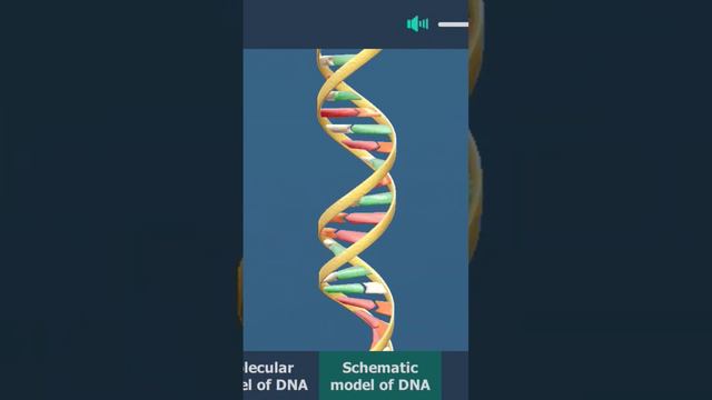 DNA