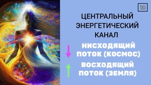 В ЧЕМ ОТЛИЧИЕ канала Ян от Центрального канала в теле человека. Энергии Земли и Космоса