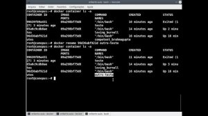 Empacotamento Debian - Empacotamento com Docker (aula 1)