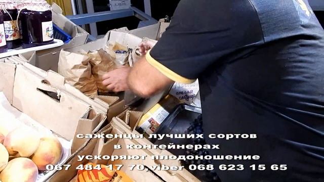 Лучшие продаваемые сорта винограда в розницу в Одессе! смотреть онлайн