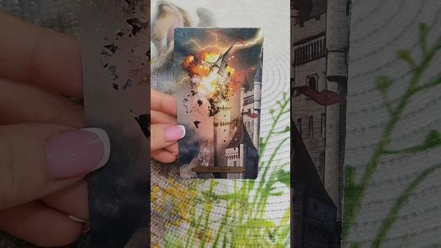 Основное событие близжайшего будущего.