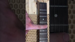 Гитара с микротональным грифом