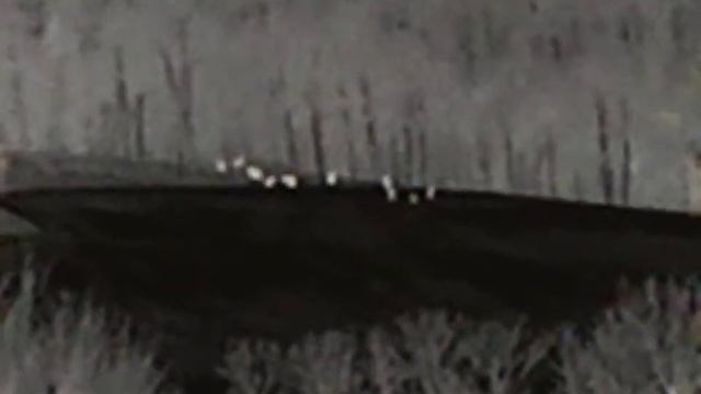 mufloni 1000m + смотреть онлайн