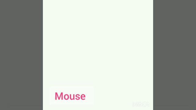 The names of animals in English смотреть онлайн