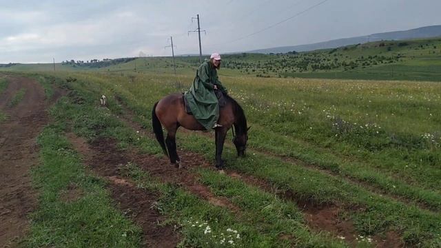 Конная прогулка Карачаево-черкессия. Прокат ГУНН смотреть онлайн