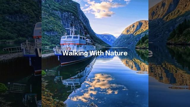 Arctic Life смотреть онлайн