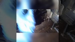 Ремонт мопеда Орион грифон сити 125