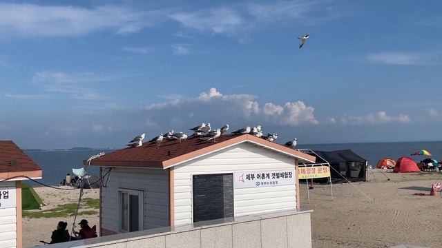 Корейский остров где исчезает дорога. Travel Vlog из Южной Кореи.Поездка на море и остров Чебудо 제부 смотреть онлайн