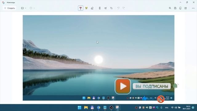 Срочно проверьте это обновление в Windows 11 -  KB5008295