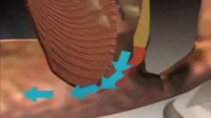 Почему человек храпит, когда спит на спине