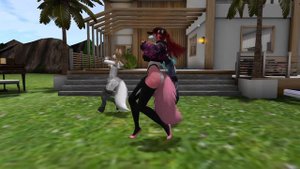 Furry Second Life - Liar dance