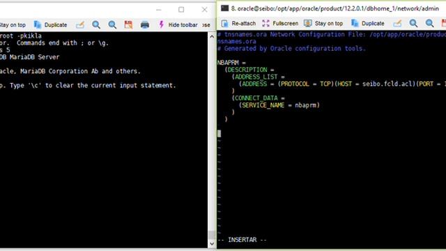 Conexión heterogénea de una Base de Datos Oracle 12cr2 con MariaDB смотреть онлайн