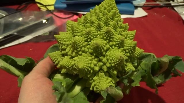 Fractal Cauliflower! смотреть онлайн