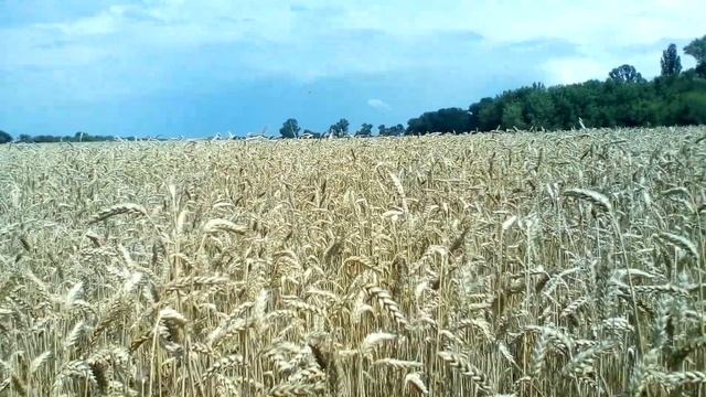Христианские стихи с глубоким смыслом.