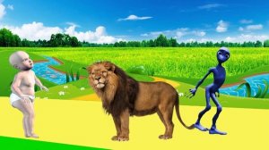 животные для детей 3 лет - полярные животные для детей | BonBi TV