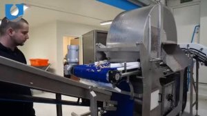 Машина для очистки креветок SEAPEELER FLEX(для обыкновенной креветки)