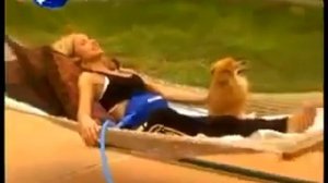 Пояс для похудения с генератором пара Steam O Belt