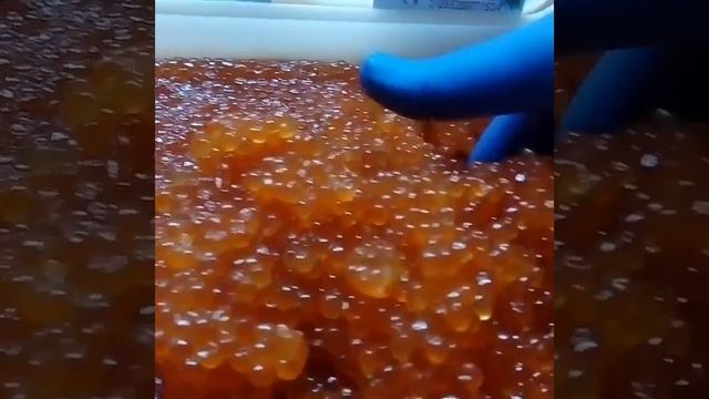 Икра Красная в Томске!Северске! ИКРА ЧАВЫЧИ!КАМЧАТКА!КРАБЫ!КРЕВЕТКИ!РЫБА СЕМГА!ЖИВЫЕ РАКИ! IKRA70.R смотреть онлайн