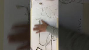 Построить выкройку комбинезона для собаки? Легко!