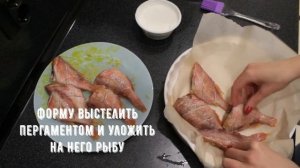 Безумно вкусный ОКУНЬ В СМЕТАНЕ. Как приготовить рыбу? (окунь)