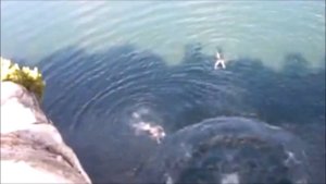 САМЫЕ НЕУДАЧНЫЕ ПРЫЖКИ В ВОДУ #8 | THE MOST UNFORTUNATE JUMPING INTO THE WATER #8