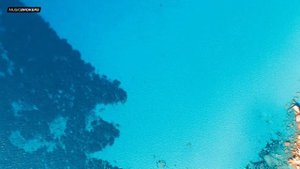 Blue Jeans (Reggae) x Natty Bong