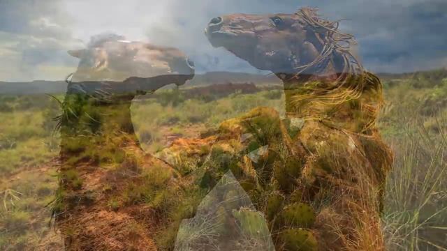 Relaxing Western Guitar Music | American Wild West Ambient Music | 4K смотреть онлайн