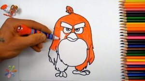 Рисуем Энгри Бердз .Злые птицы: Ред . Draw Angry Birds. Red.Раскраски для детей