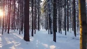 ВОССТАНОВЛЕНИЕ НЕРВНОЙ СИСТЕМЫ  Нежная музыка, успокаивает нервную систему и радует душу