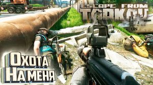 Все Дикие На Карте Охотятся на Меня - День 13 - Escape From Tarkov