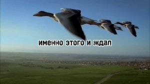 на крыльях любви