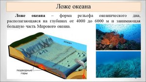 Тема 15. Рельеф дна Мирового океана