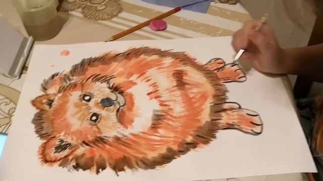 Портрет шпица акварелью. Рисование для детей. смотреть онлайн