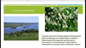 Библиотечный урок "Сергей Александрович Есенин" 1-4  классы