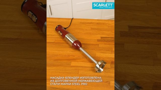 Блендер погружной SCARLETT SC-HB42F54 смотреть онлайн