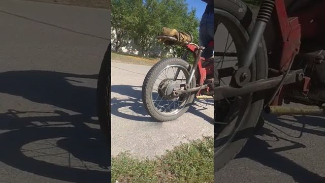 бернаут мопеда Верховина . #бернаут #мопед #мопедальфа смотреть онлайн