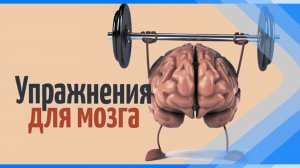 17.07.2024   Заболевания головного мозга. Причины, симптомы и профилактика