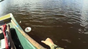Ловля на кружки. И снова за щукой! Часть 1.  Pike fishing.