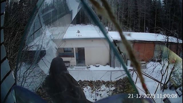 Голод и 