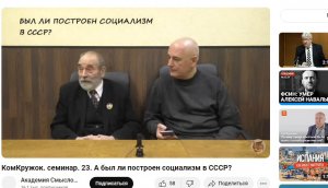 Чудики, Платошкин, и, социализм