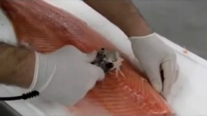 Удаление вилочных костей рыбы 120R