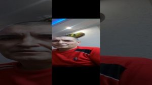 Как проходит операция по эндопротезированию тазобедренного сустава.