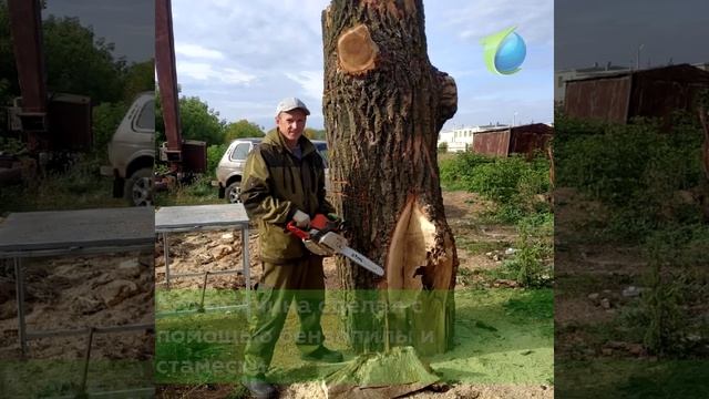 Вятскополянский умелец.
