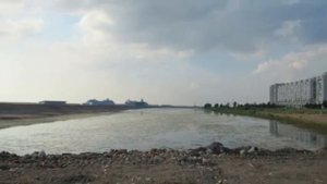 Репортаж о намыве у Васильевского острова