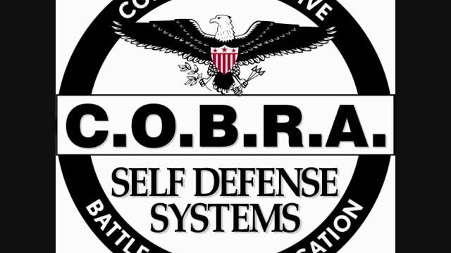 7 Deadly Self-Defense Mistakes "Eye On The Nation" Interview with Cobra-Defense Creator Chris Sutto смотреть онлайн